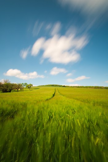 Unsplash ID noKvuXflOrU