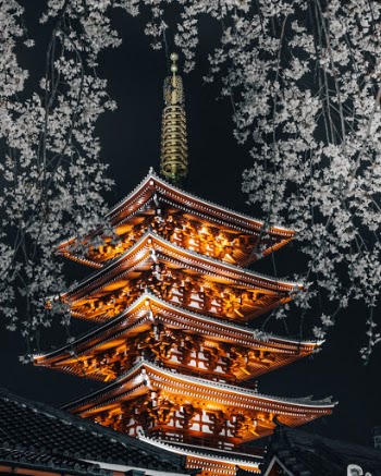 Unsplash ID nP90MOYjDPk
