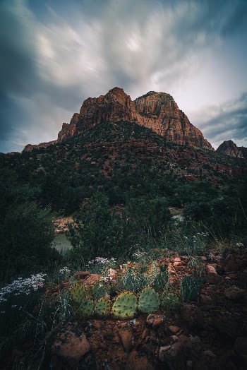 Unsplash ID NqYDw4CUEus