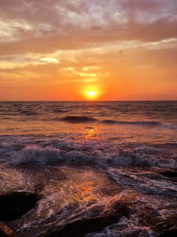 Unsplash ID nRx2lFEPaFw