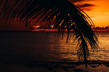 Unsplash ID nRzvUFZn9L8