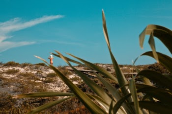 Unsplash ID NsSLw7VDWvU