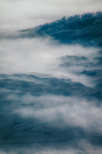 Unsplash ID nT3jt94C6JE