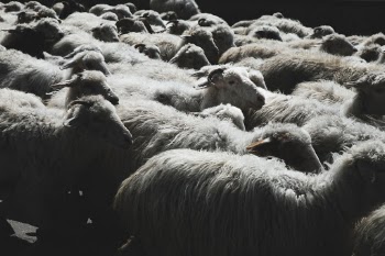 Unsplash ID NU6CO-a5D8U