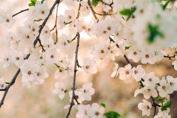 Unsplash ID NUOlhRbZdps