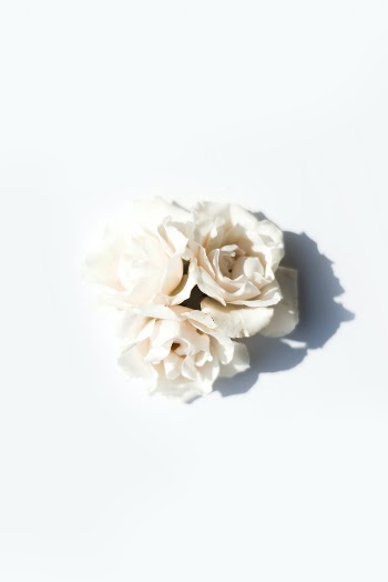 Unsplash ID NUX8vT_lkWI