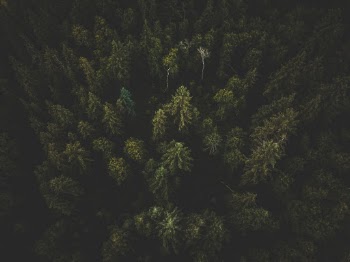 Unsplash ID nVHIrkG0rPc