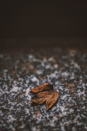 Unsplash ID nvNx7UFgFdQ
