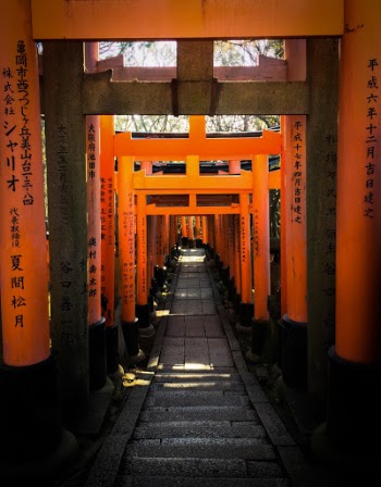 Unsplash ID NVrg_SSuNJk