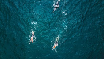 Unsplash ID nw5OaAtqI34
