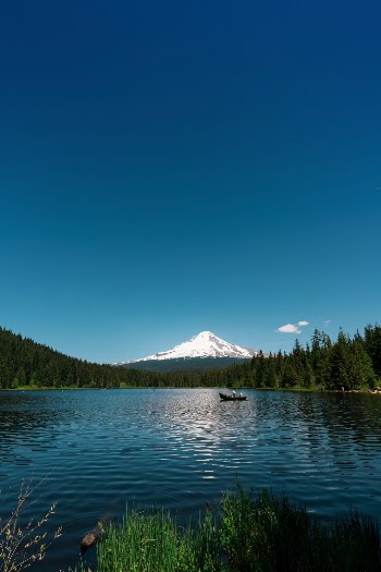 Unsplash ID NwL0fOM9EpE