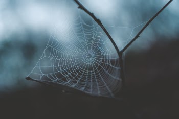 Unsplash ID NXgpZ9ImYZE