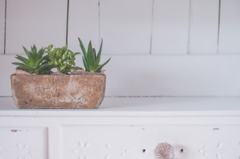 Unsplash ID NxuHM65nOdE