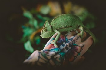 Unsplash ID NXXHvIAzbYk