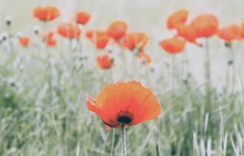 Unsplash ID ny_5dKi3pKs