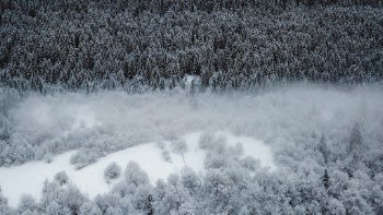 Unsplash ID _nY-cwxNPuU
