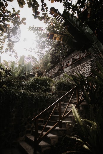 Unsplash ID NYkJtV5QYVQ