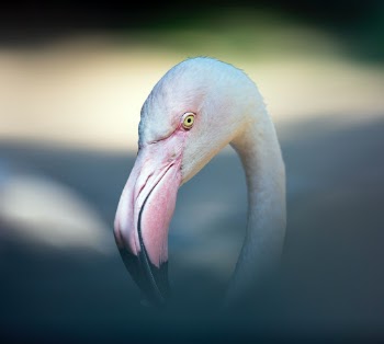Unsplash ID nYWth5MXBB4