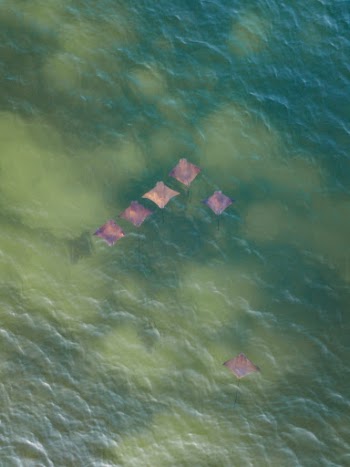 Unsplash ID NZkOikMx90w