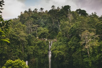 Unsplash ID O_B1LTxHb98