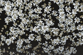 Unsplash ID o_EQI_kuz-A