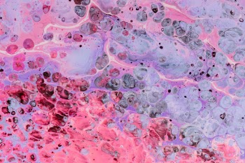 Unsplash ID o0IGgF4o6QM