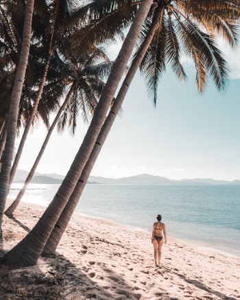 Unsplash ID o1iV6Di2FX0