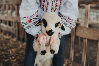 Unsplash ID O1jutQljH4g