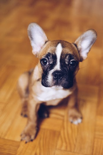 Unsplash ID o4WdTUnc77Q