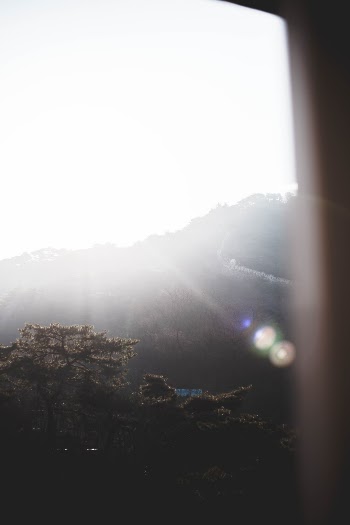 Unsplash ID O6AqdbcbQXU