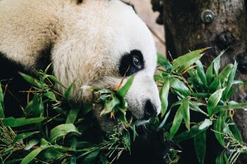 Unsplash ID O7G3II8E2Eo