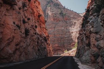 Unsplash ID OaNtNlK257E