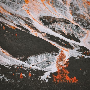 Unsplash ID obeZgk3B2Z0