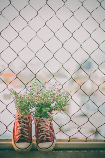 Unsplash ID oCYd3U5aSYA
