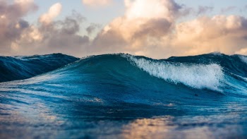 Unsplash ID OCzvgBqCJKY
