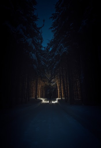Unsplash ID odfhHtD3igY