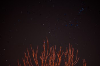 Unsplash ID OE3bp2Wurzg