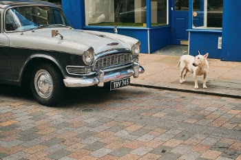 Unsplash ID OFQzn3V1JKU