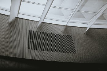 Unsplash ID OgNR_gVaUds