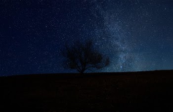 Unsplash ID OgTfuHhrG2U
