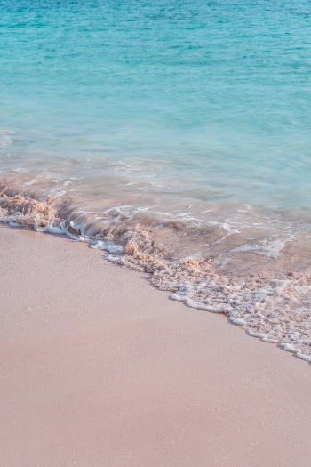 Unsplash ID OHEkkMCAFvE
