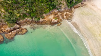 Unsplash ID ohKp_9Lhq1E