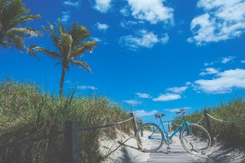 Unsplash ID _OhWrY5xlGQ