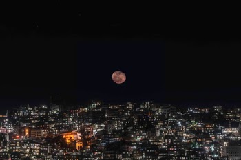 Unsplash ID OicRIvOSAJg