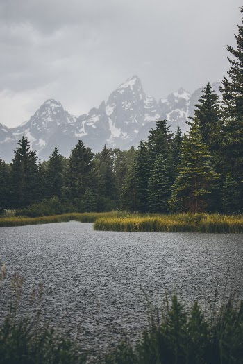 Unsplash ID OiTfFlr1ZLc
