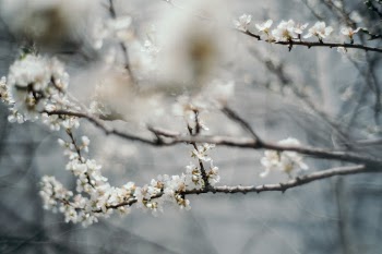 Unsplash ID oJe4q6L2_Hk