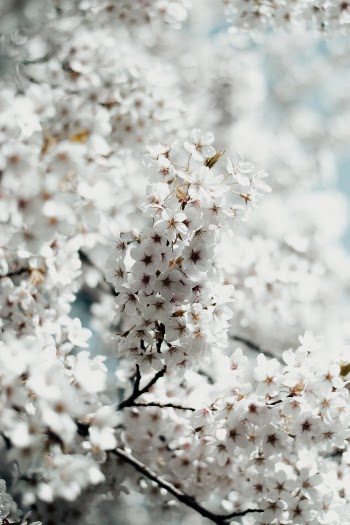 Unsplash ID OkdU5MB76TQ