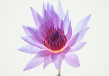 Unsplash ID olb10A0AchE