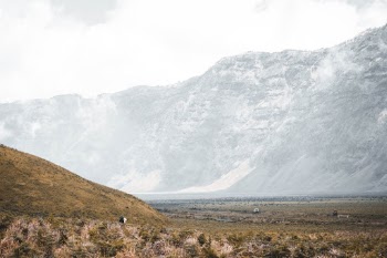 Unsplash ID oMdTsi8R1wM