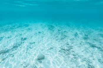 Unsplash ID OOuPX8bcpjI